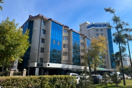 Большая квартира на Гагарина 66