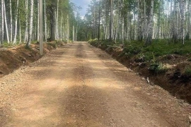 Продается  участок в СНТ " Садко"