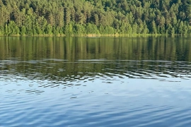 Первая линия от воды Патроны